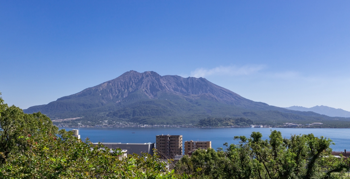 九州の恵まれた環境で育った国産うなぎ