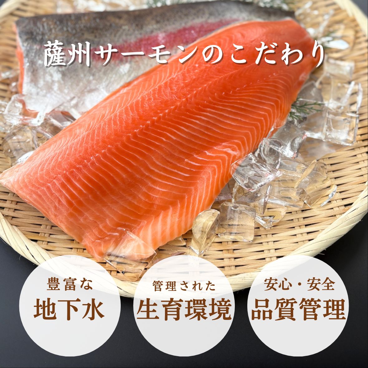 薩州サーモンの美味しさの秘訣