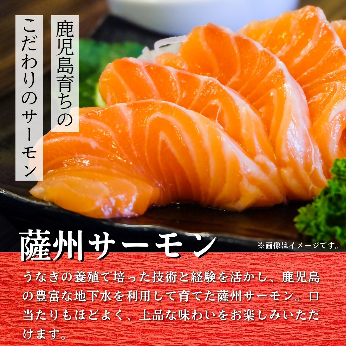 薩州サーモンの説明画像