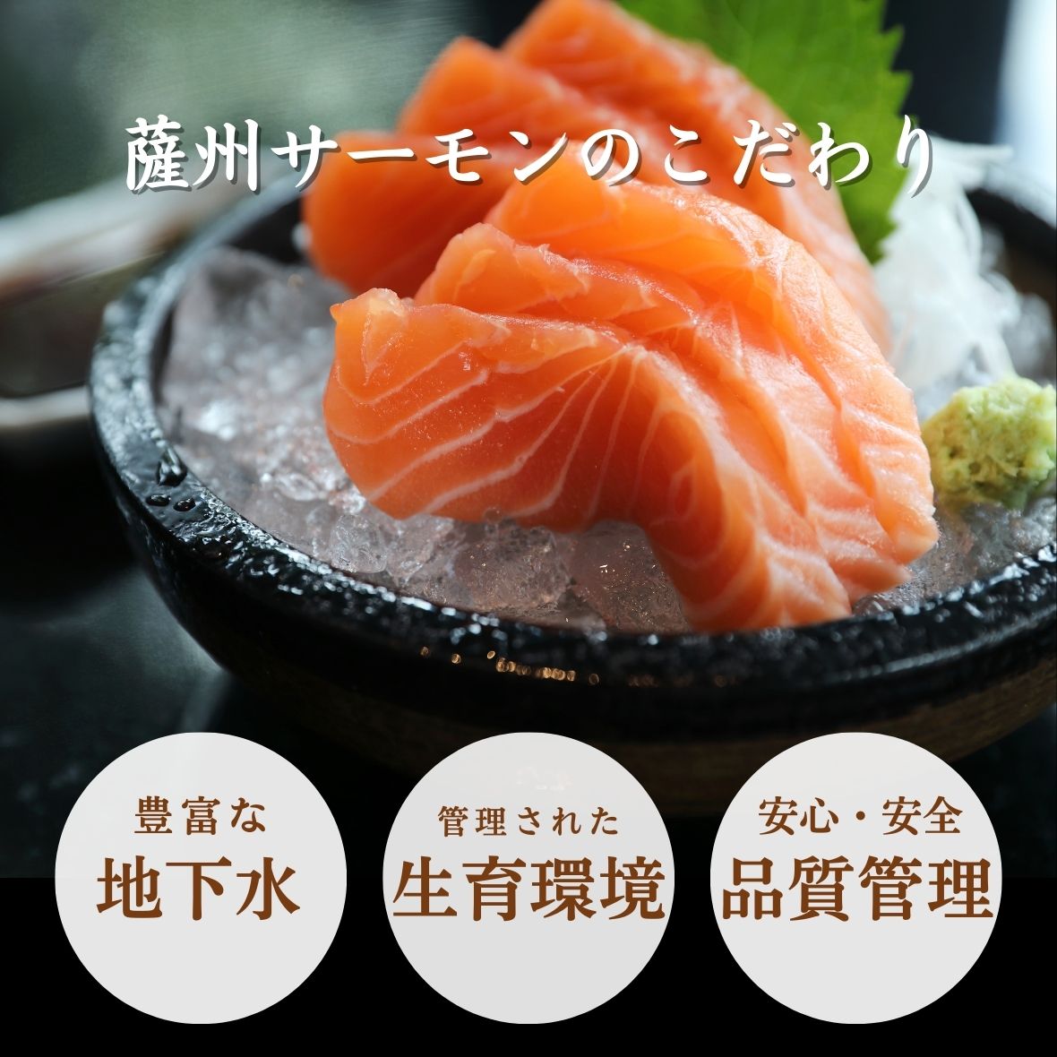薩州サーモンの美味しさの秘訣