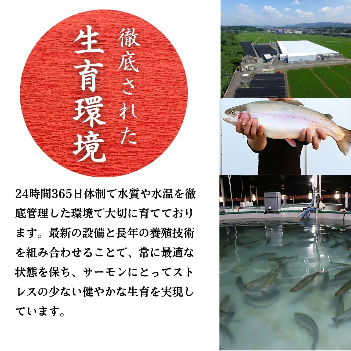 薩州サーモンの生育環境
