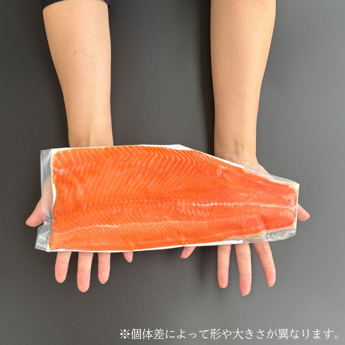 薩州サーモンの大きさイメージ