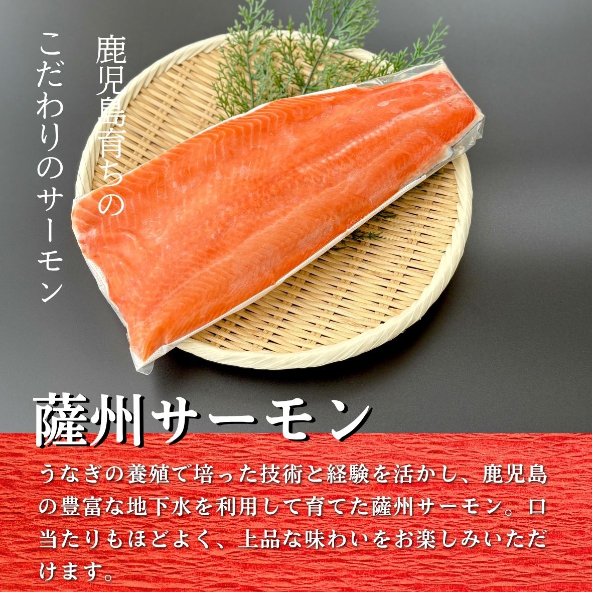薩州サーモンの説明画像