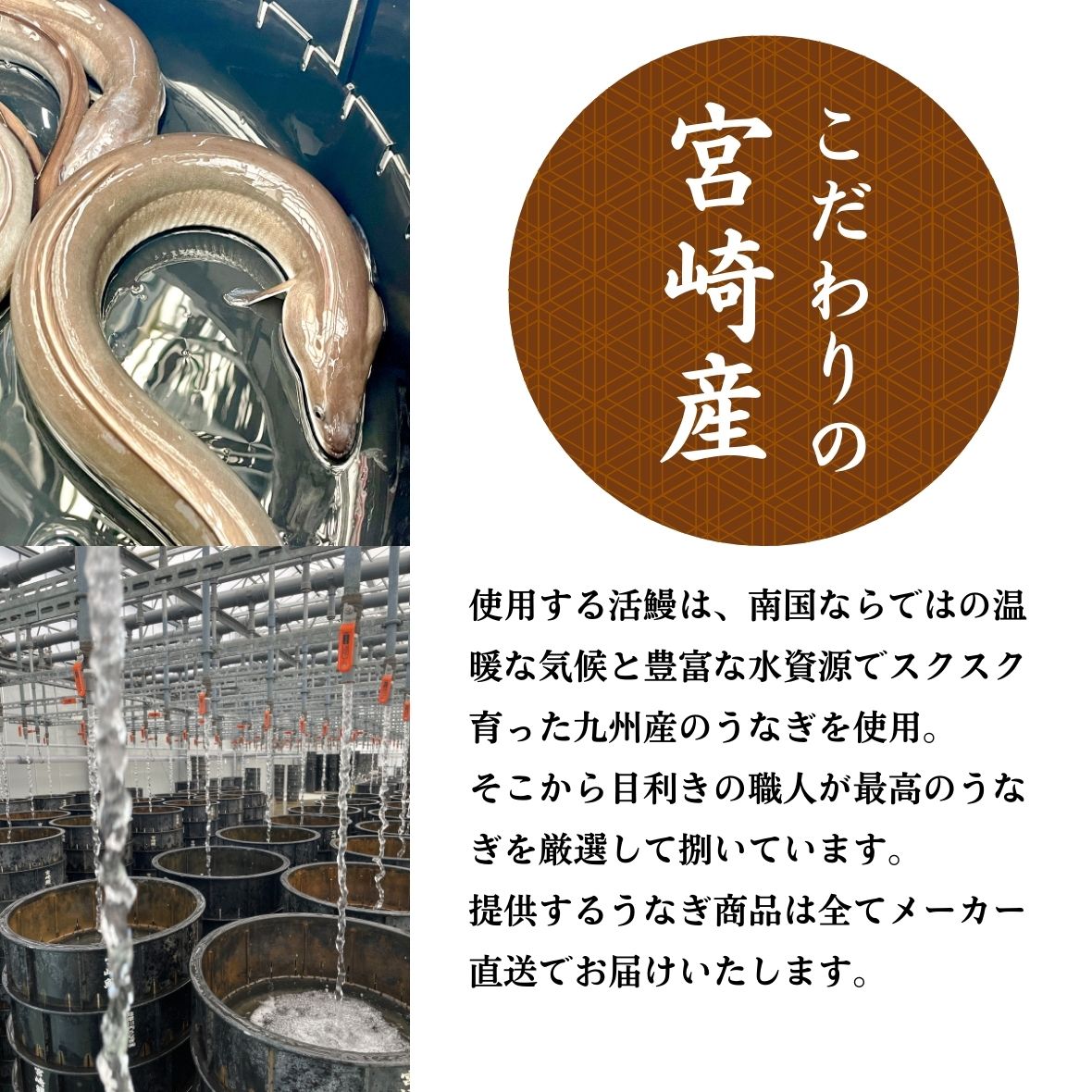 こだわりの宮崎産の鰻を使用