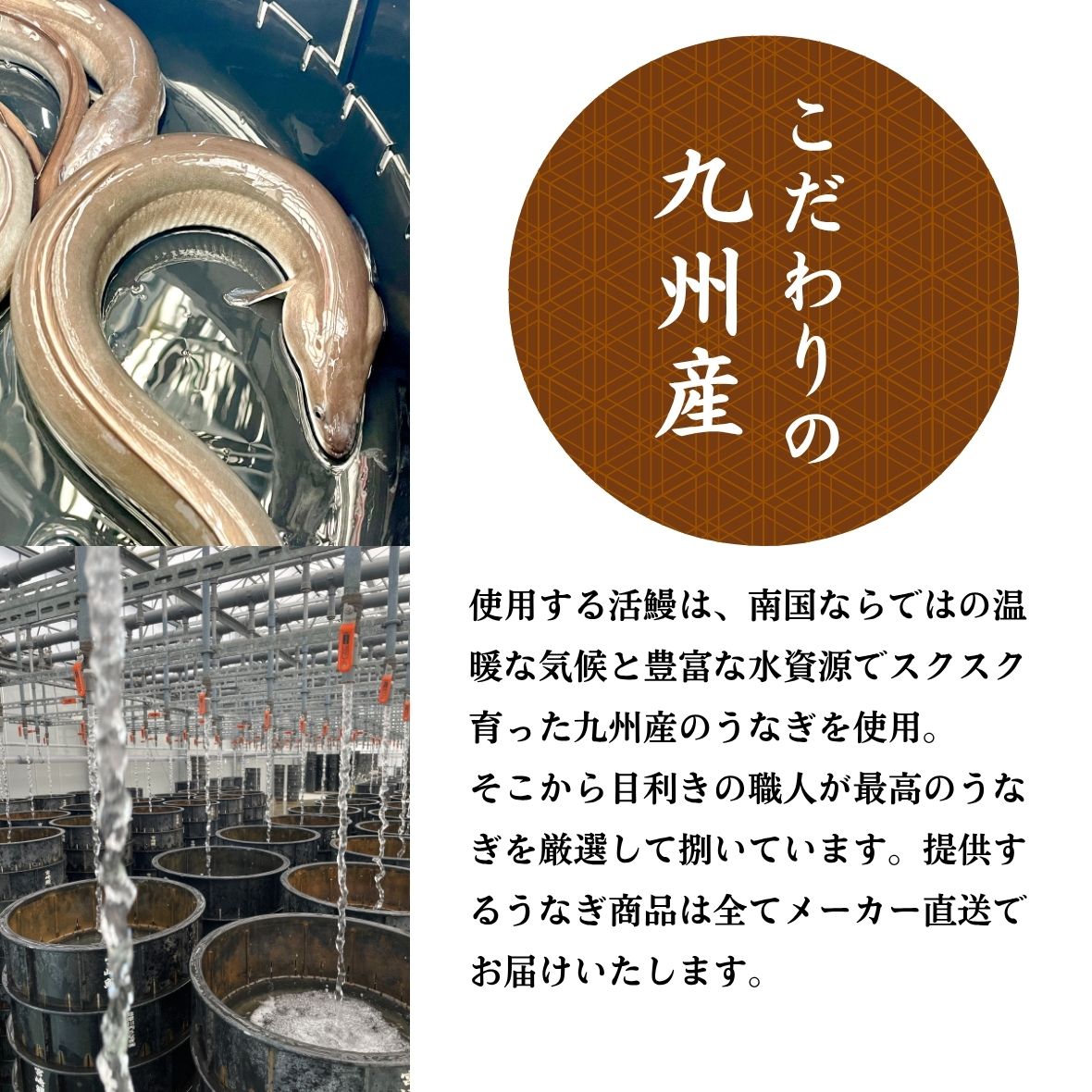 九州産へのこだわり