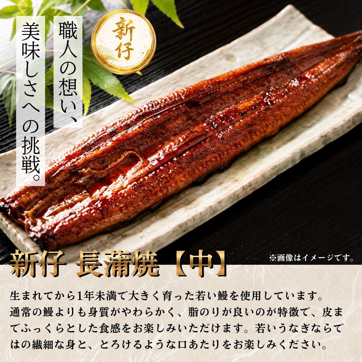 新仔の花うなぎ 長蒲焼【中】説明画像