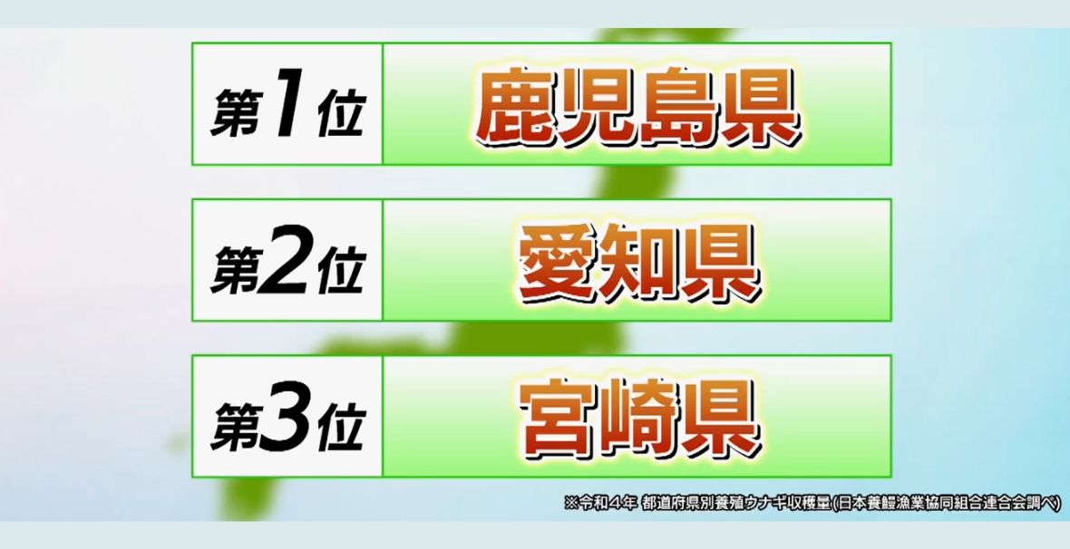 鹿児島はうなぎの生産量日本一