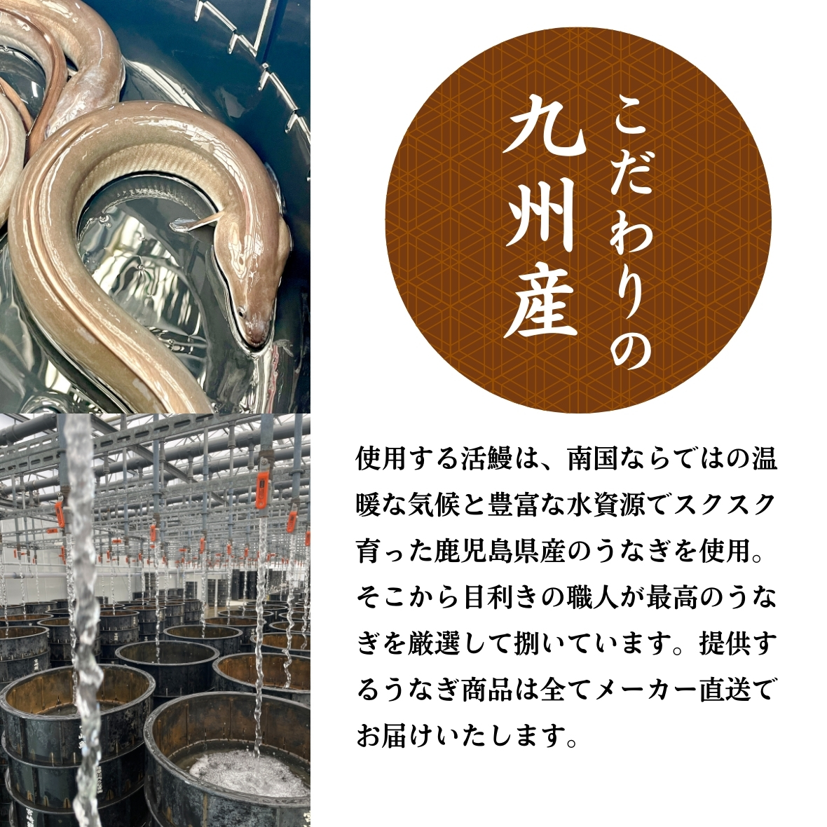 こだわりの鹿児島県産の鰻を使用