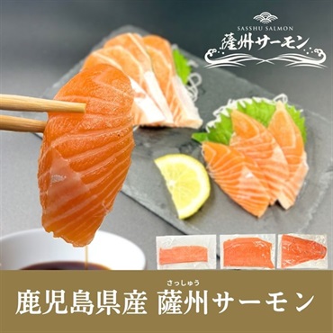 鹿児島県産 薩州サーモン ギフトセット