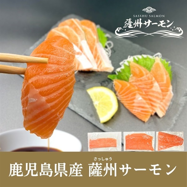 鹿児島県産 薩州サーモン ギフトセット