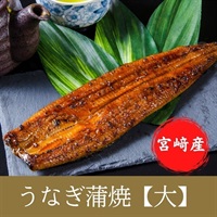 宮﨑県産 花うなぎ 長蒲焼【大】2～5尾