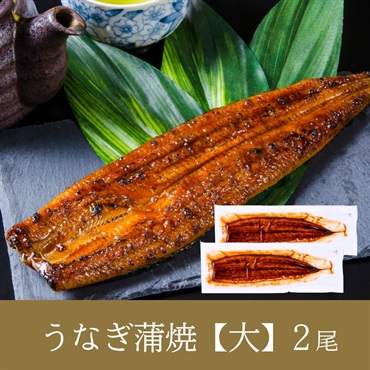 宮﨑県産 花うなぎ 長蒲焼【大】2~5尾(2尾(2~4人前))