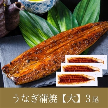 宮﨑県産 花うなぎ 長蒲焼【大】2～5尾(3尾(3～6人前)※送料込)