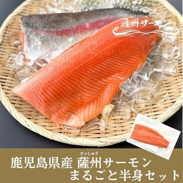 鹿児島県産 薩州サーモン 半身フィーレ(皮付き) 500g～1kg
