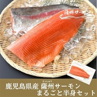 鹿児島県産 薩州サーモン 半身フィーレ(皮付き) 500g～1kg