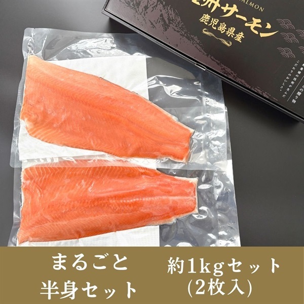 鹿児島県産 薩州サーモン 半身フィーレ(皮付き) 500g～1kg(約1kg(2枚入))