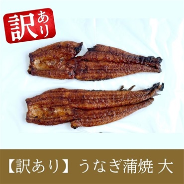 【訳あり】鹿児島県産  長蒲焼【大】4本入