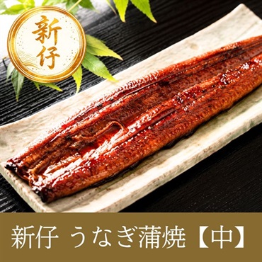 【新仔】鹿児島産 花うなぎ 長蒲焼【中】2尾
