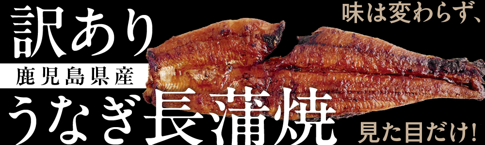 訳あり