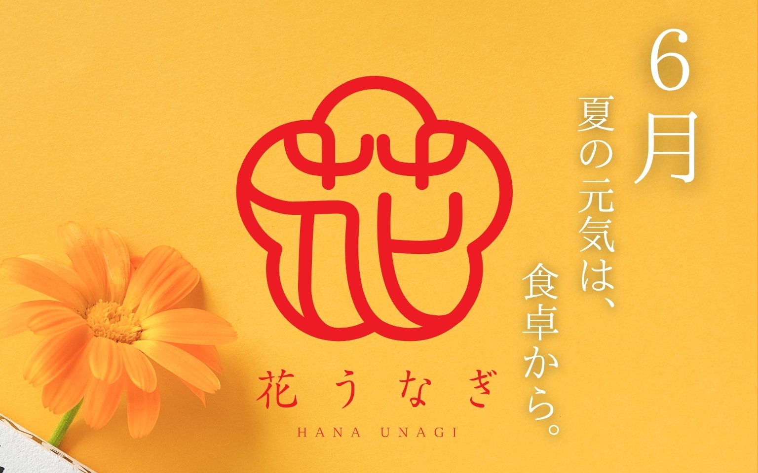 花うなぎのギフト＆贈り物 通販サイト｜薩摩川内鰻公式オンラインショップ