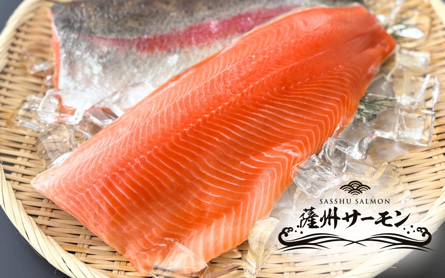 鹿児島県産 薩州サーモン
